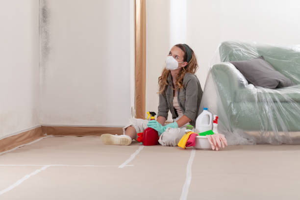 Trusted Commercial Mold Remediation service in Bonlee, NC - WQB Mold Removal